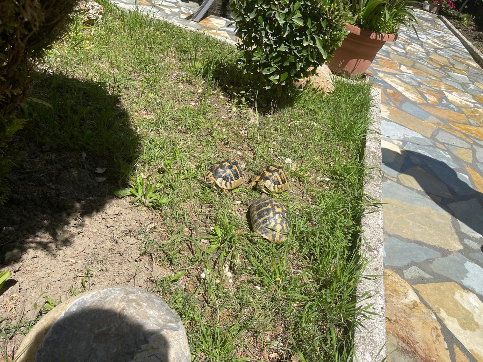 Artur'S Apartment Gjirokastër 외부 사진